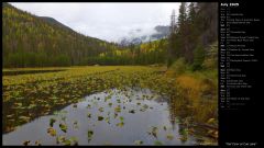 Fall Color at Cub Lake