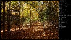 Greenbelt Park in Fall I