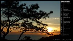 Torrey Pine Sunset I