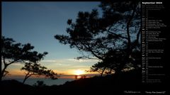 Torrey Pine Sunset III