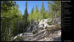 Trail to Alberta Falls