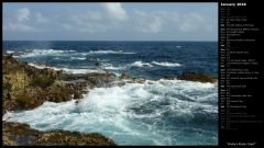 Aruba's Rocky Coast