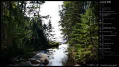 Forest Near Hunters Beach