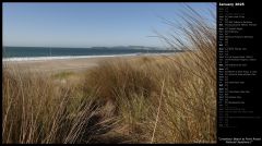 Limantour Beach at Point Reyes National Seashore I