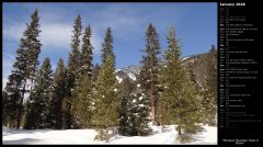 Montana Mountain Trails in Winter