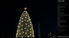 National Christmas Tree and Washington Monument at Night