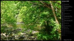 Patapsco River View