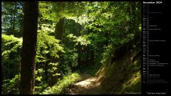 Trail from Silver Falls