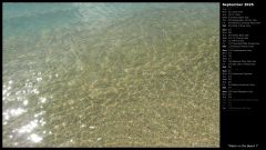 Water on the Beach I