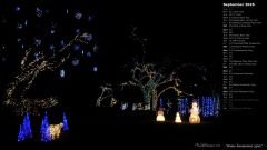 Winter Wonderland Lights