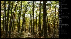 Appalachian Trail in October