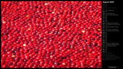 Cranberries