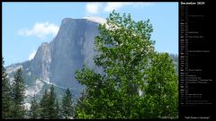 Half Dome in Summer