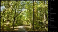 Lake Kittamaquandi Trail