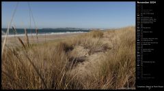 Limantour Beach at Point Reyes II