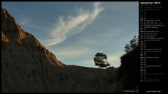 Lone Torrey Pine