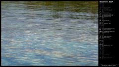 Mangrove Lagoon Water