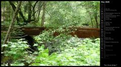 Muir Woods Bridge I