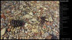 Pebbles in Taylor Creek