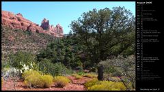 Red Rocks and Cacti II