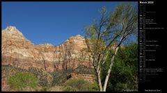 Red Rocks at Zion