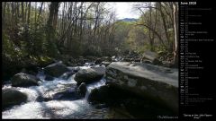 Spring at the Little Pigeon River