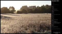 Sunrise at Bear Valley Trailhead