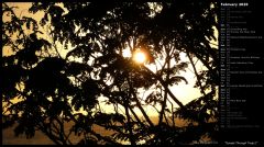 Sunset Through Trees I