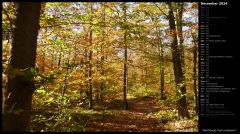 Wolf Rocks Trail in Autumn