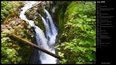 Sol Duc Falls I