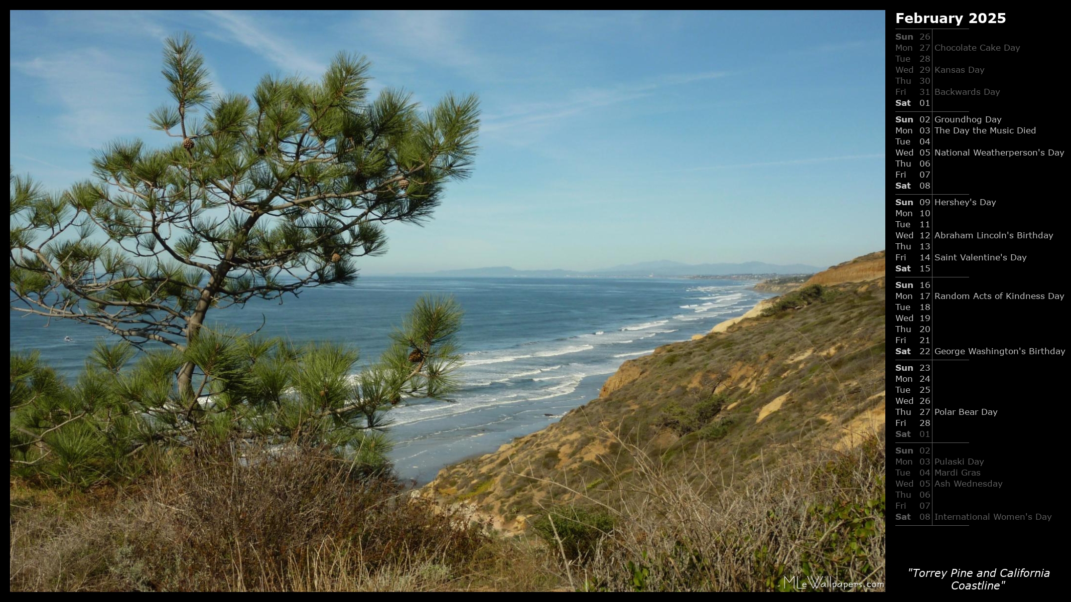 Torrey Pine and California Coastline (Calendar)