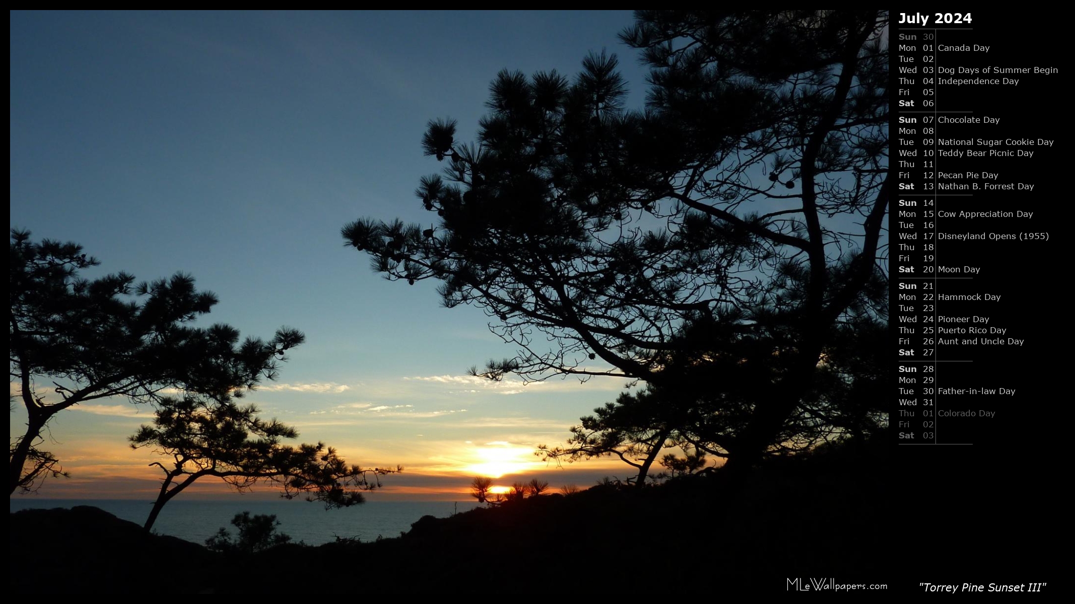Torrey Pine Sunset III (Calendar)