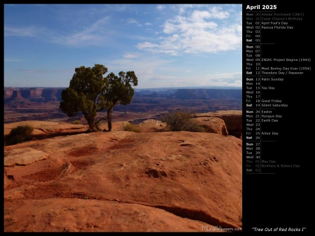 Tree Out of Red Rocks I