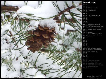 Snowy Pine Cone I