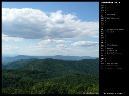 Appalachian Mountains I