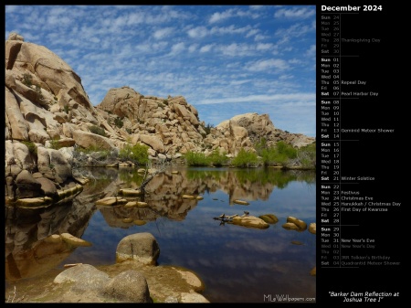 Barker Dam Reflection at Joshua Tree I