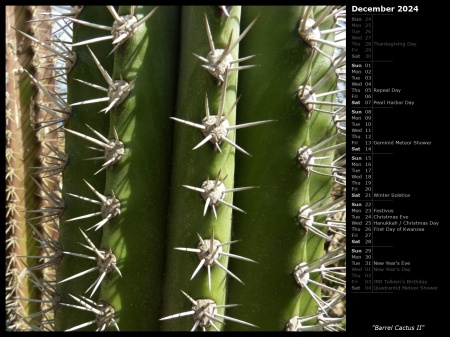 Barrel Cactus II