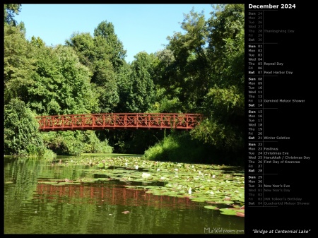 Bridge at Centennial Lake