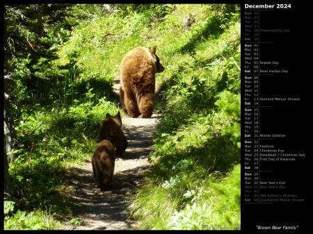 Brown Bear Family