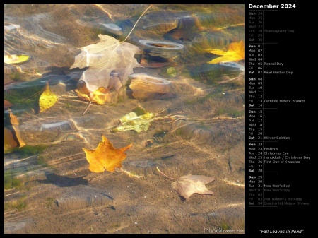 Fall Leaves in Pond