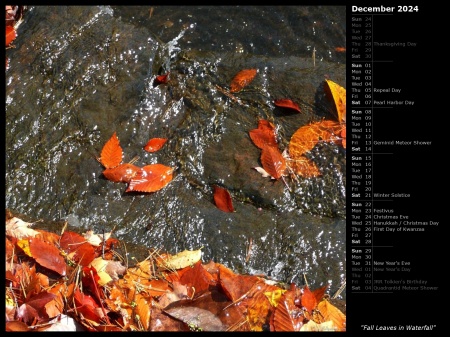 Fall Leaves in Waterfall