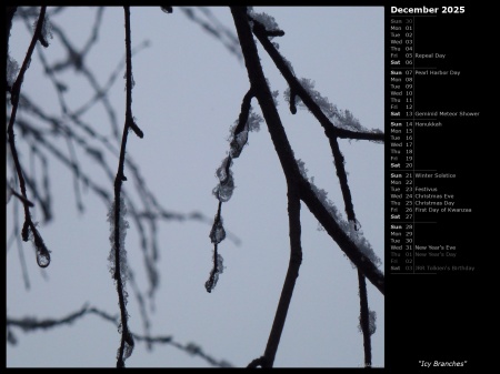 Icy Branches