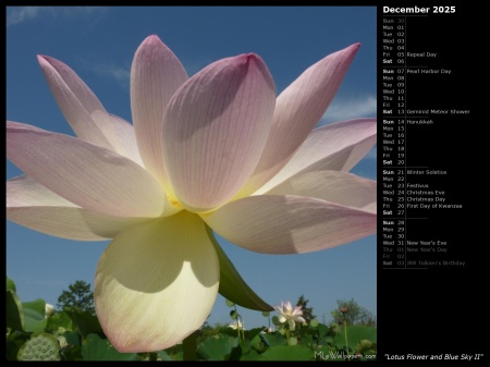 Lotus Flower and Blue Sky II