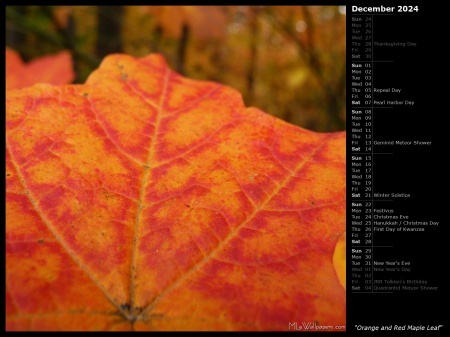 Orange and Red Maple Leaf