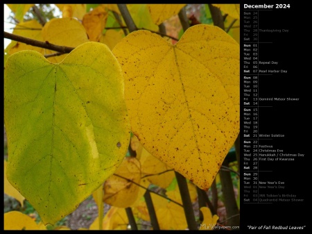 Pair of Fall Redbud Leaves