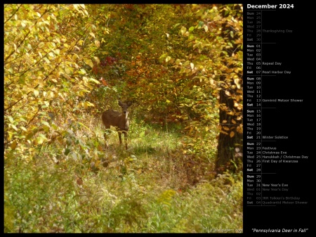 Pennsylvania Deer in Fall