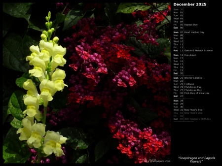 Snapdragon and Pagoda Flowers