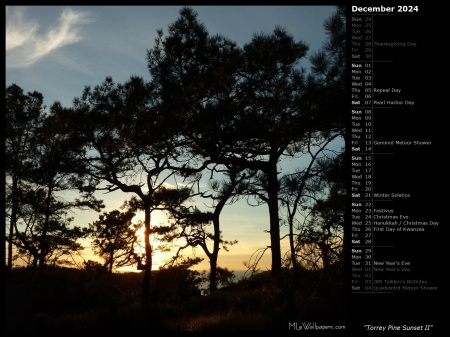 Torrey Pine Sunset II