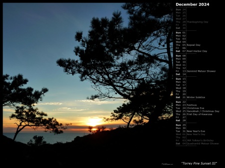 Torrey Pine Sunset III