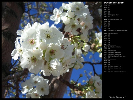 White Blossoms I